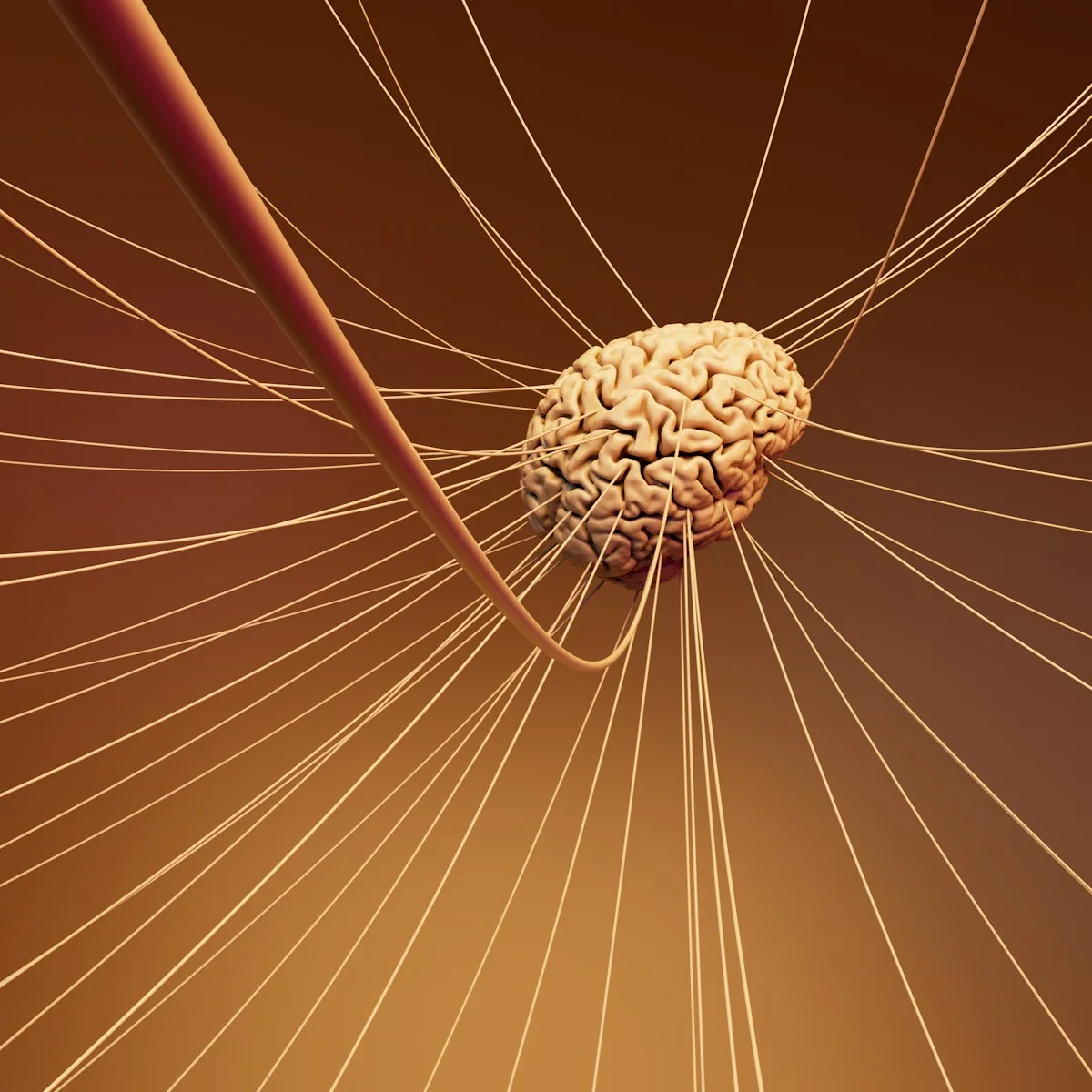 servicios terapeutecos talleres